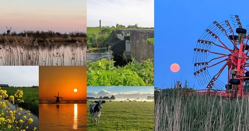 Compilatiefoto met beelden uit Leechlân Grou-Warten